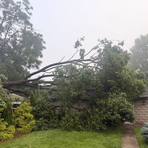 A large tree down across the roof of a stone house after a storm